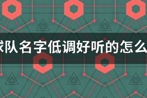 篮球训练营高雅的名字